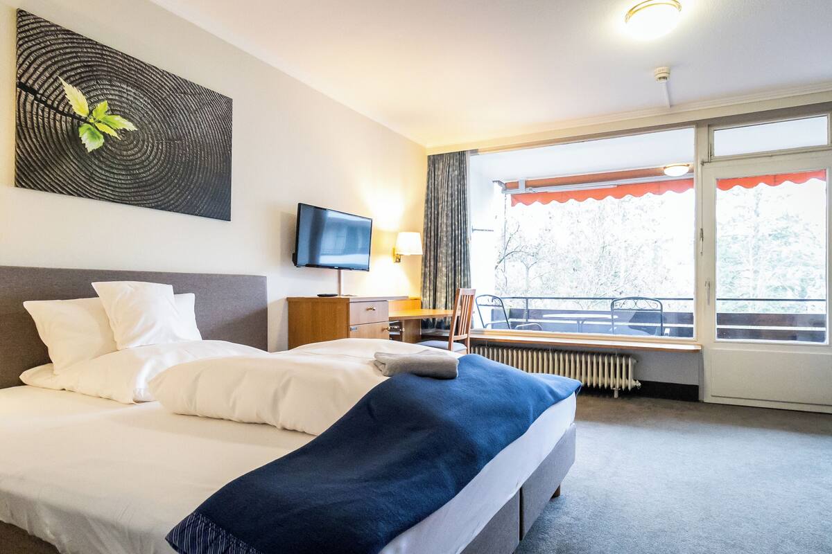 A hotel room with a bed, a television, a window with a view of trees, and a radiator.