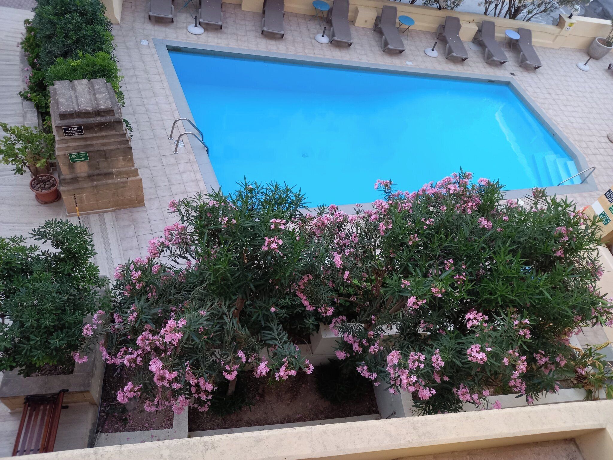 Foto - Il Palazzin Hotel