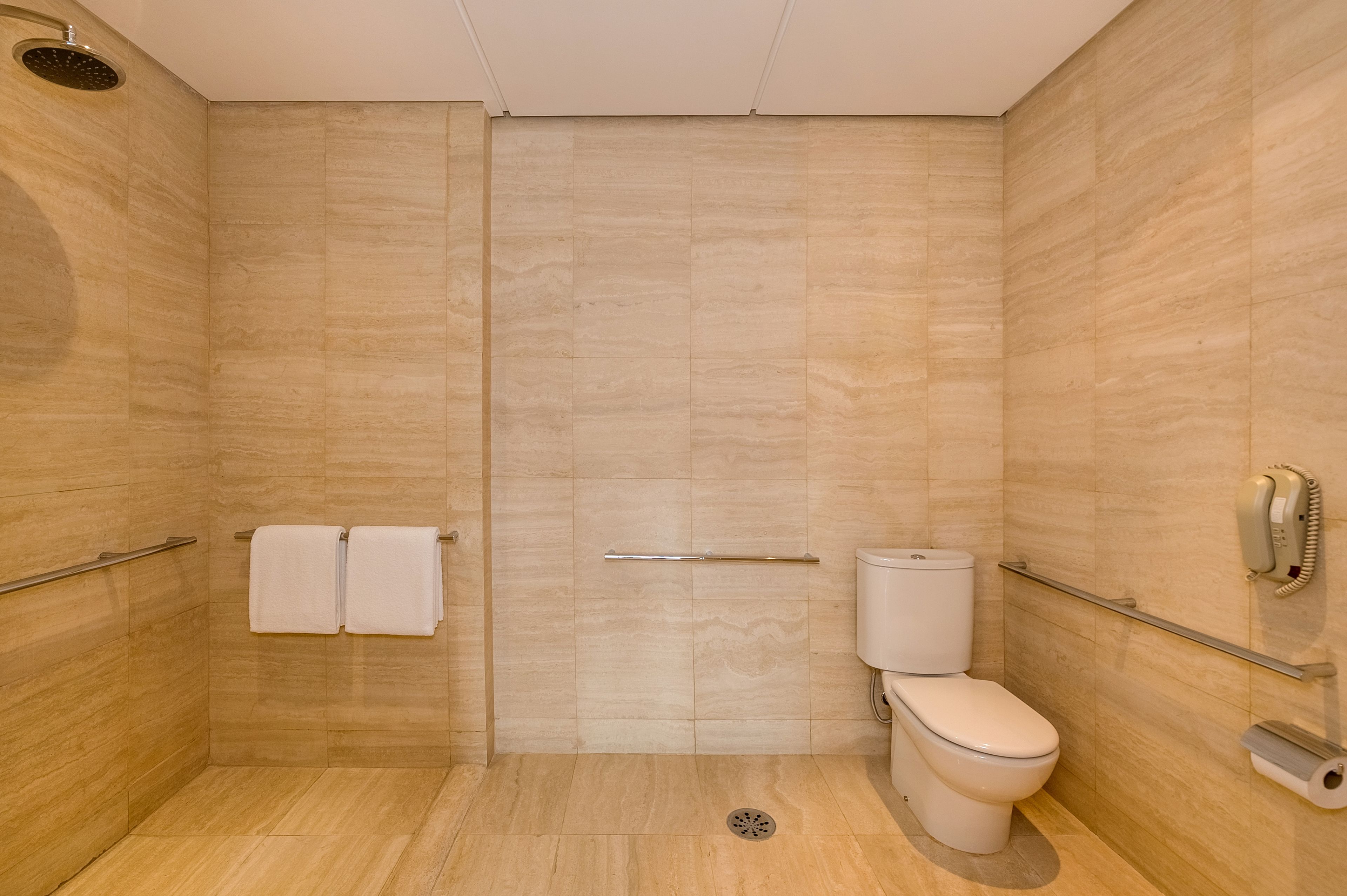 A modern bathroom with a shower, toilet, and handrail.