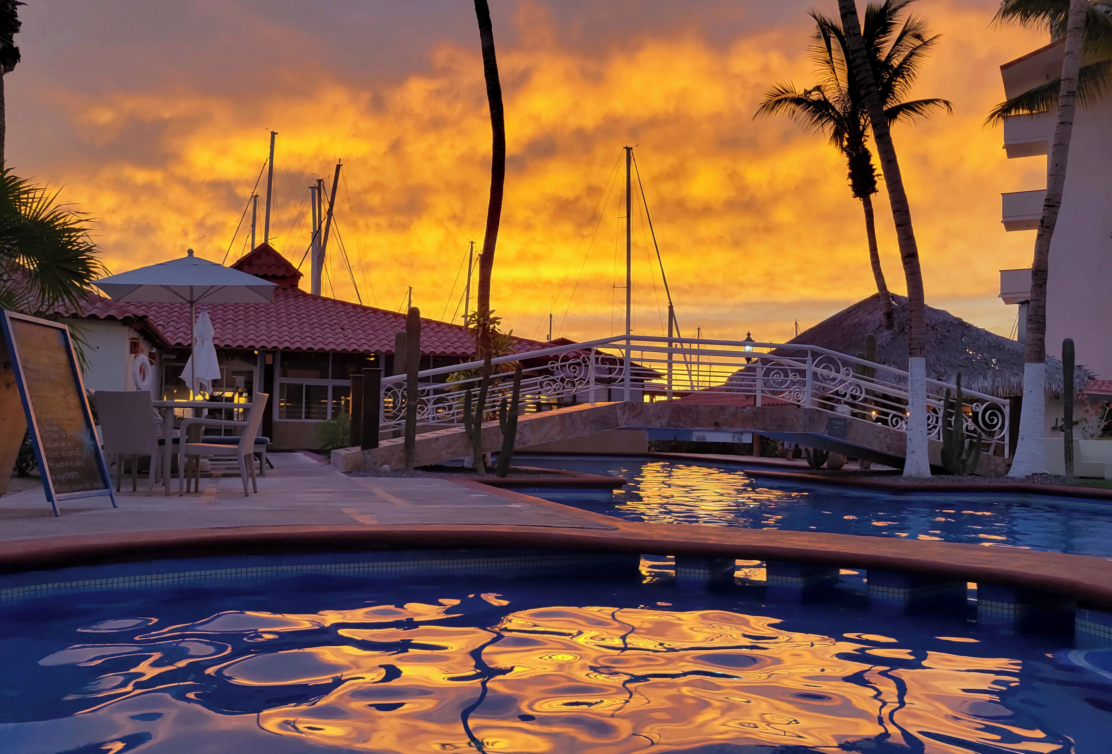 A pool area with a sunset view, palm trees, and a bridge.