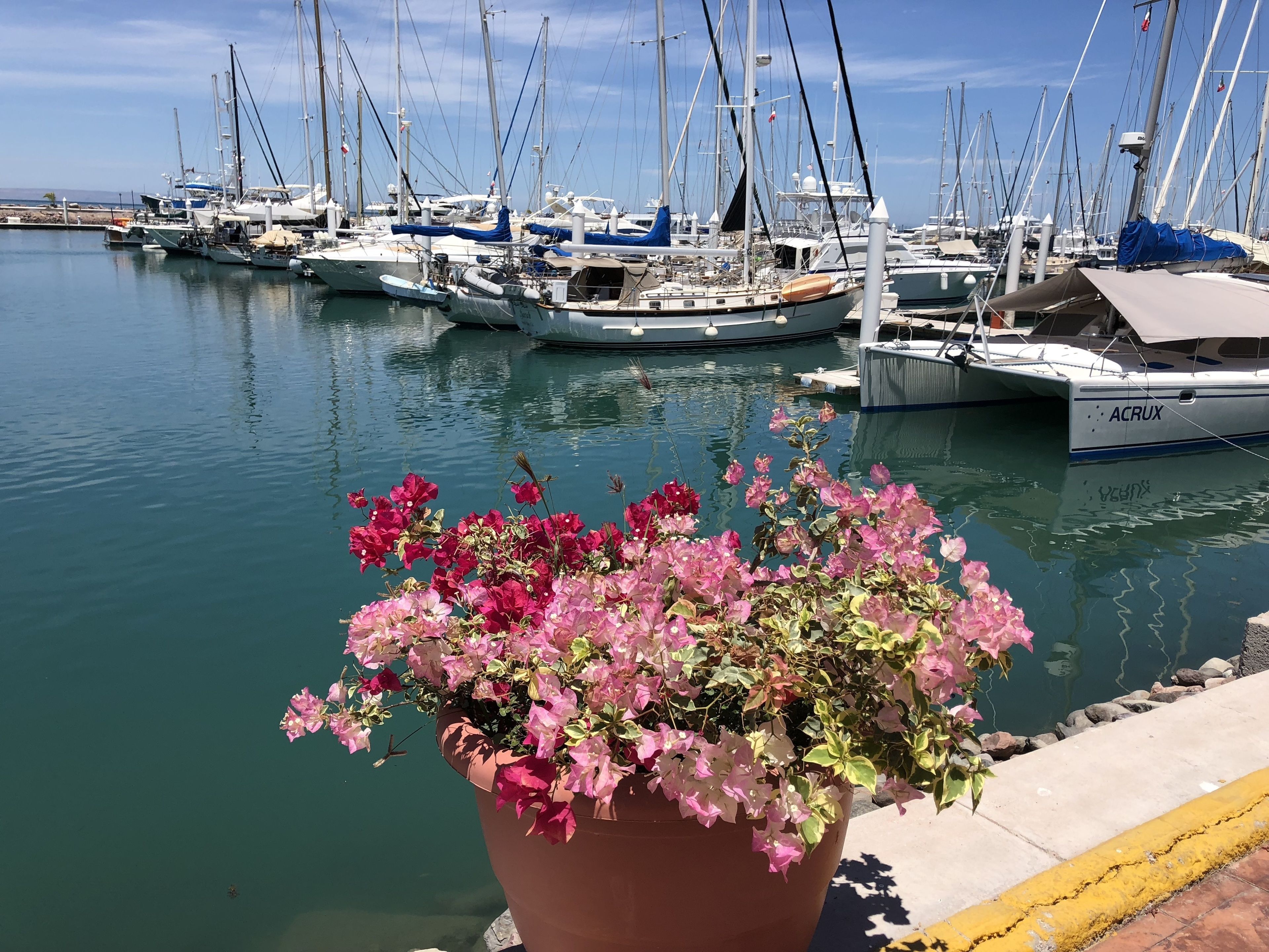 Foto - The Westmarine Waterfront Hotel