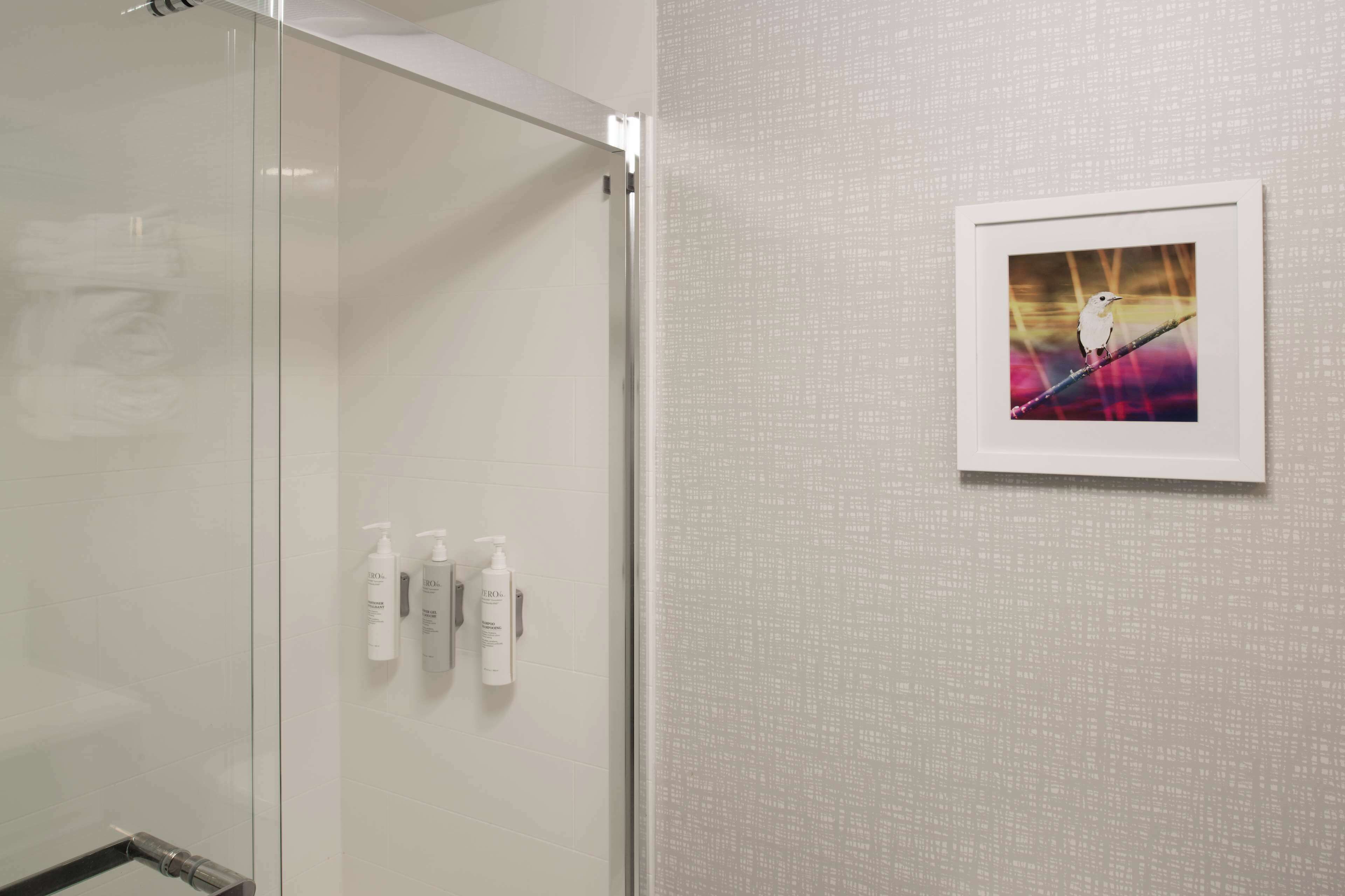 combined shower/bathtub, free toiletries, hair dryer, towels