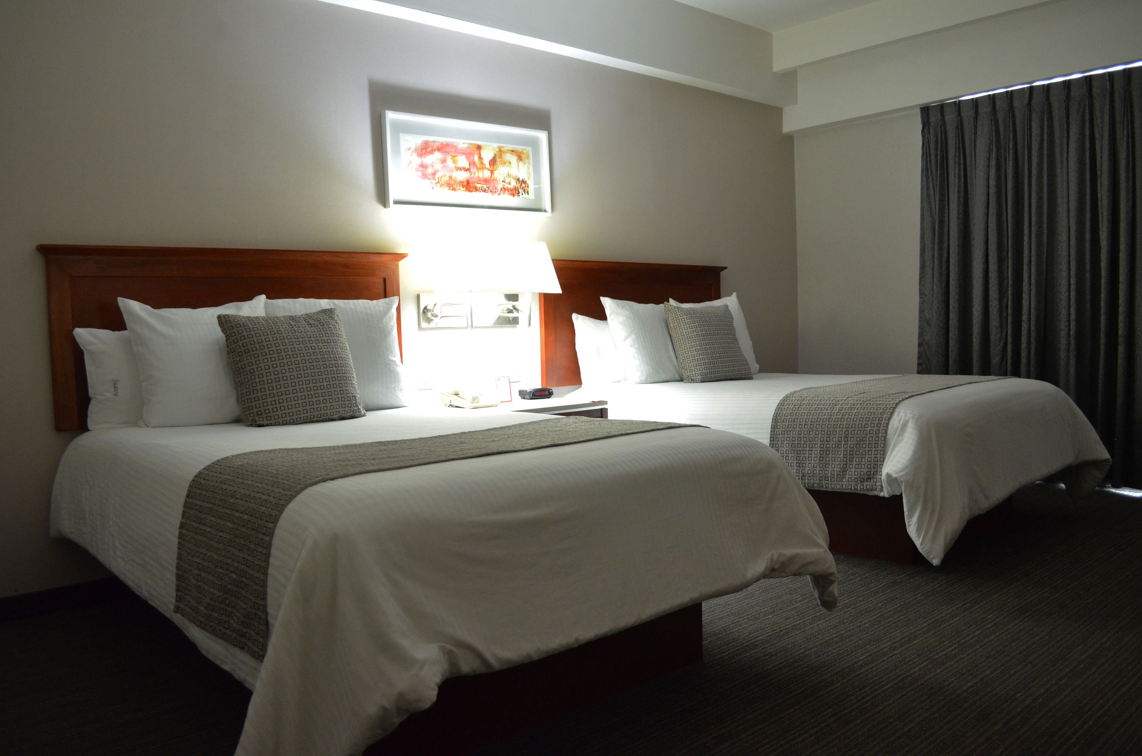 standard room | premium bedding, down duvets, minibar, in-room safe