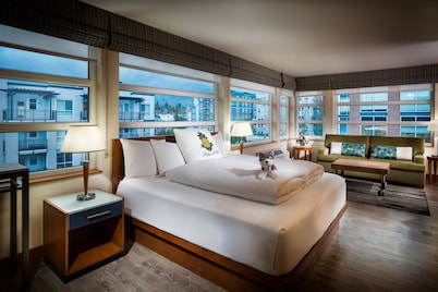 Staypineapple, Watertown Hotel, University District Seattle
