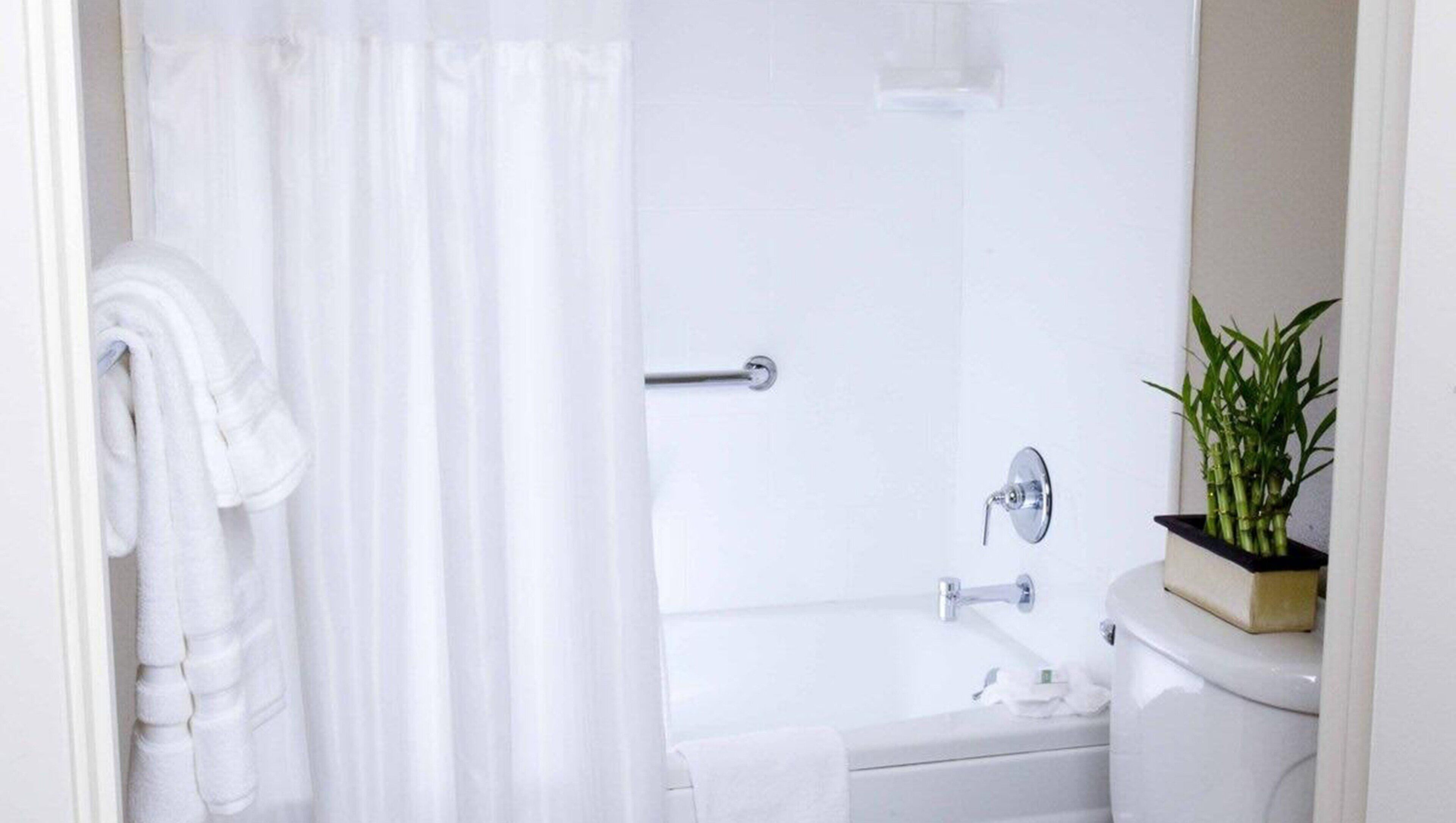 Photo - The Zen Hotel Palo Alto