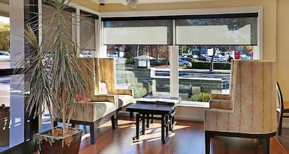 The Zen Hotel Palo Alto