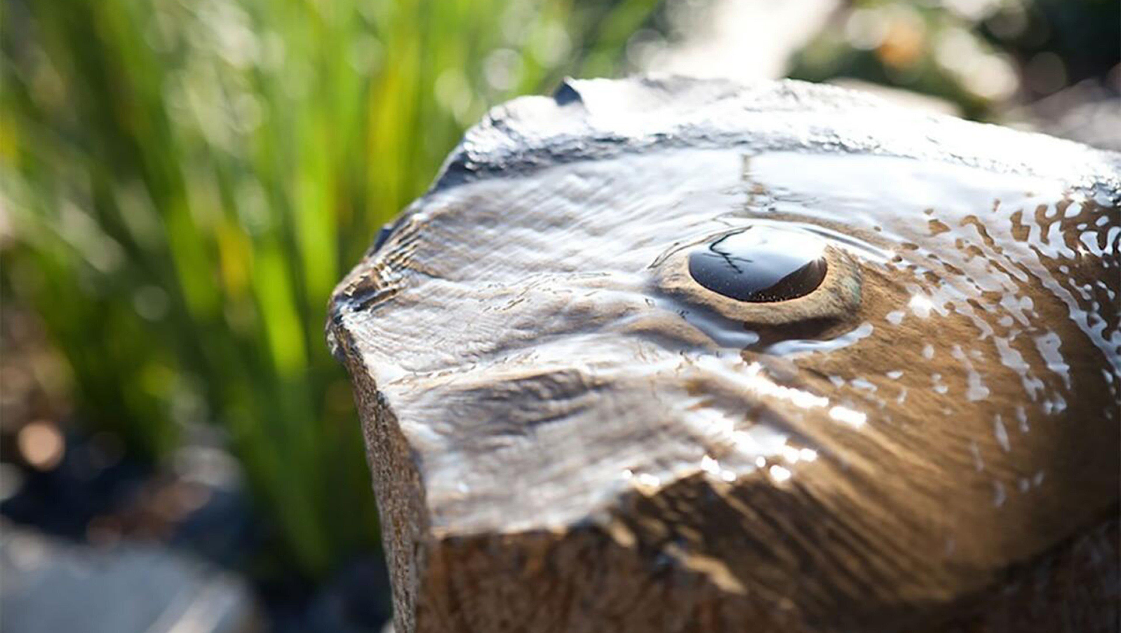 Photo - The Zen Hotel Palo Alto