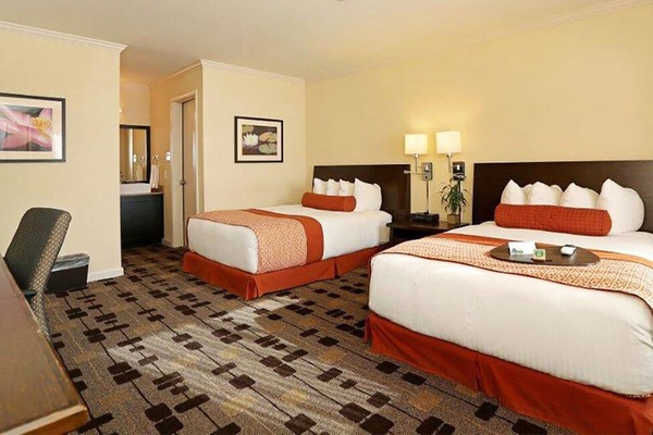 Rom – deluxe, 2 dobbeltsenger, ikke-røyk, kjøleskap og mikrobølgeovn | Sengetøy av topp kvalitet, senger med overmadrass og safe på rommet