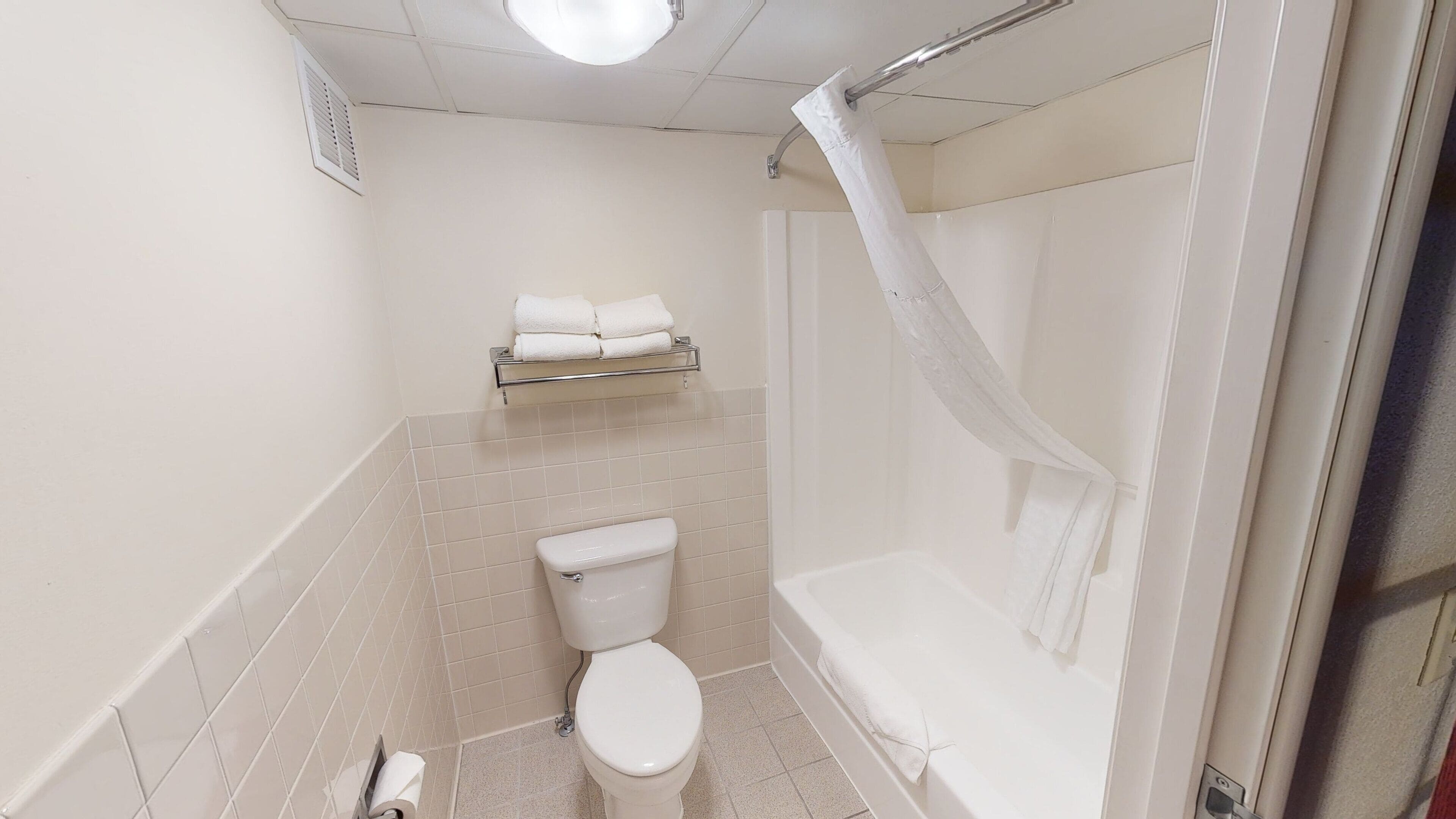 A small, clean bathroom with a toilet, a shower, and a towel rack.