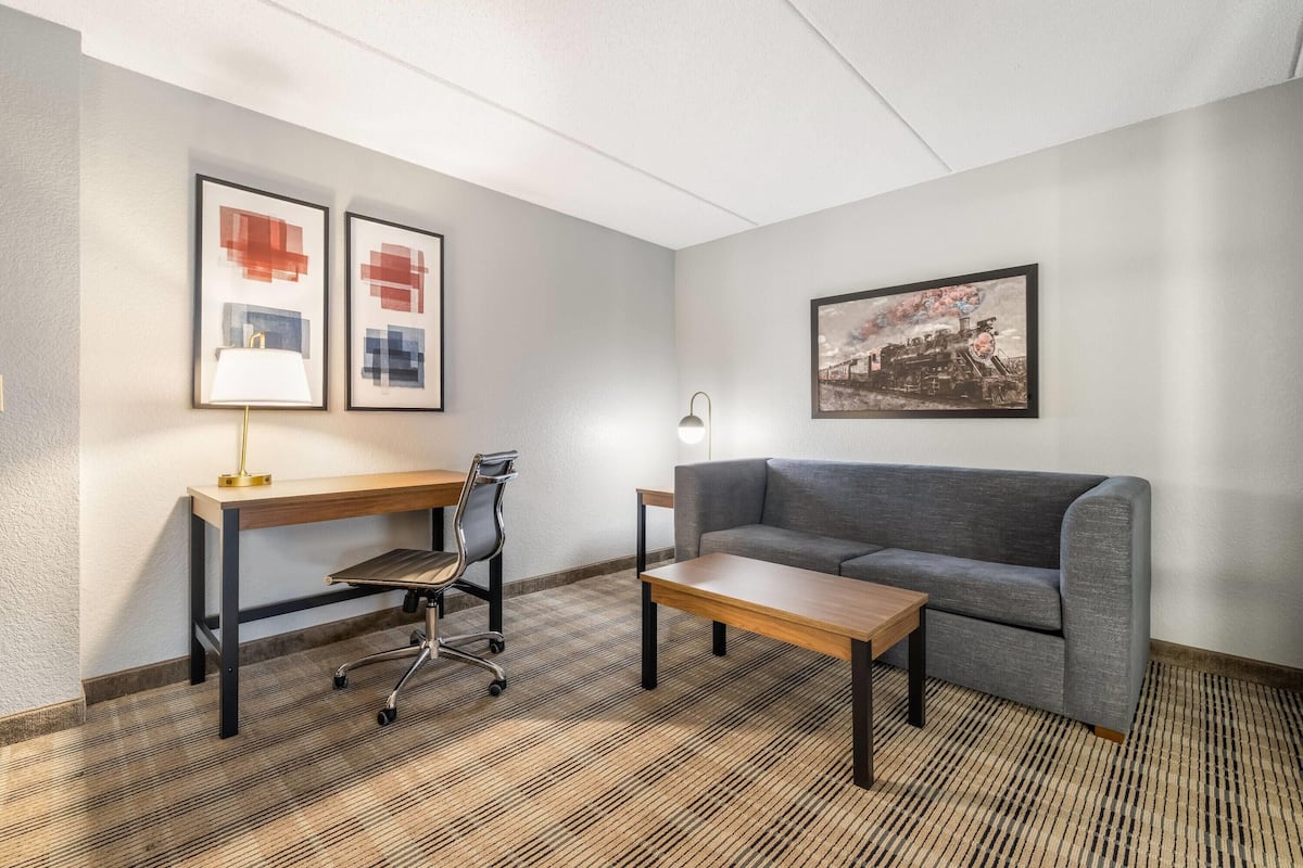 Suite Deluxe, 1 très grand lit, non-fumeur (One-Bedroom Suite)