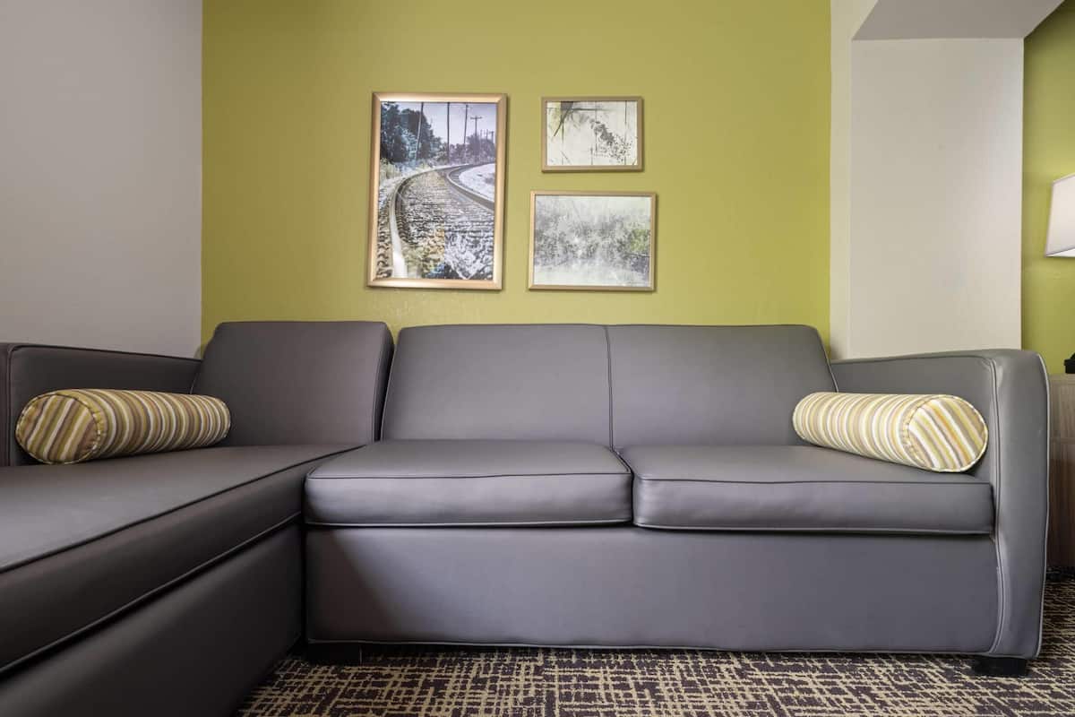 A gray sectional sofa with striped pillows against a green wall, with two framed pictures above.