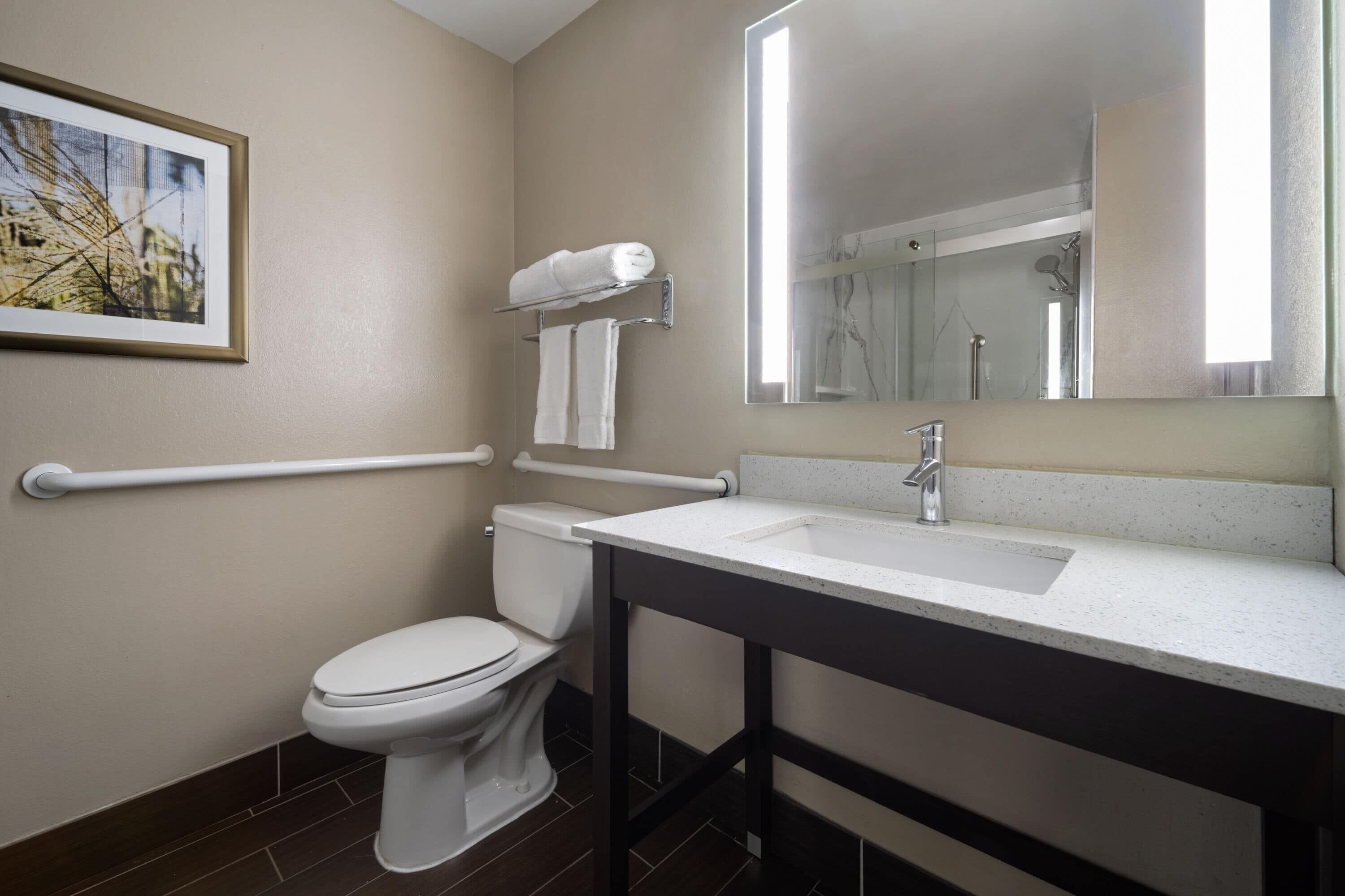 A bathroom with a toilet, a sink, a mirror, and a towel rack.