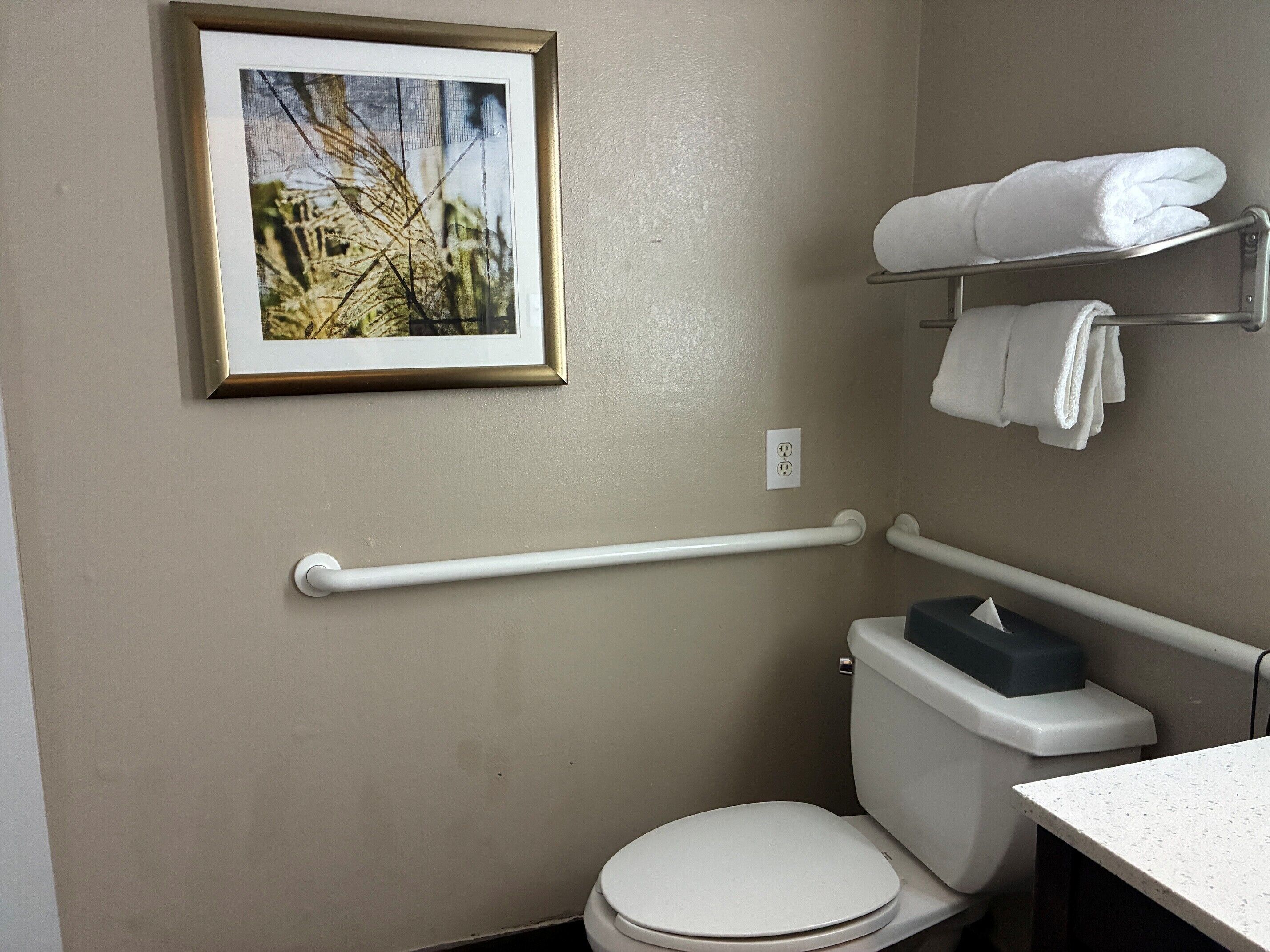 Een badkamer met toilet, een ingelijst foto aan de muur, een handdoekhouder met handdoeken, en een handgreep.