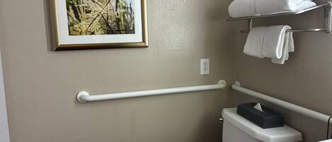 Een badkamer met toilet, een ingelijst foto aan de muur, een handdoekhouder met handdoeken, en een handgreep.