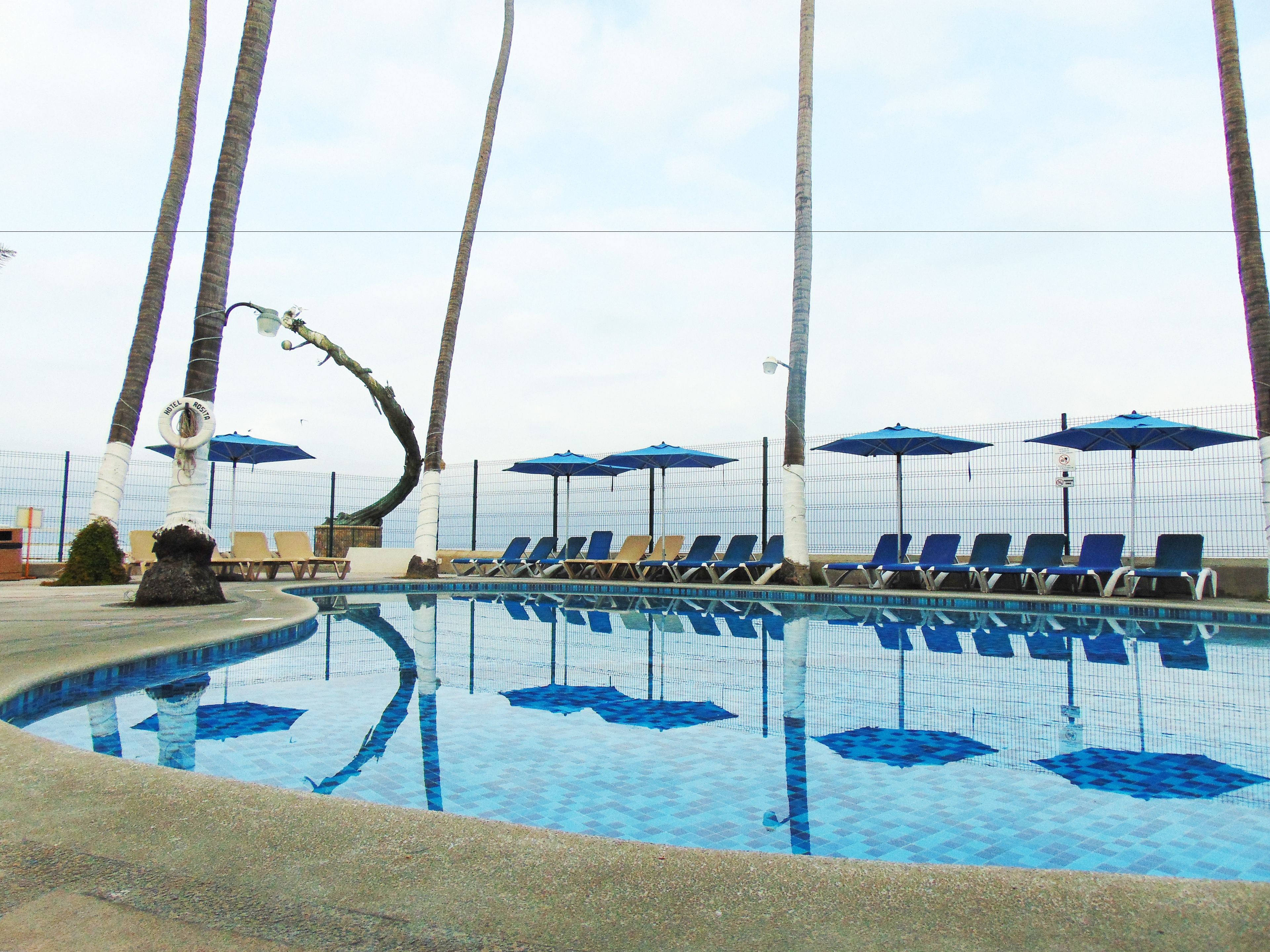 A swimming pool with lounge chairs and umbrellas, surrounded by palm trees.