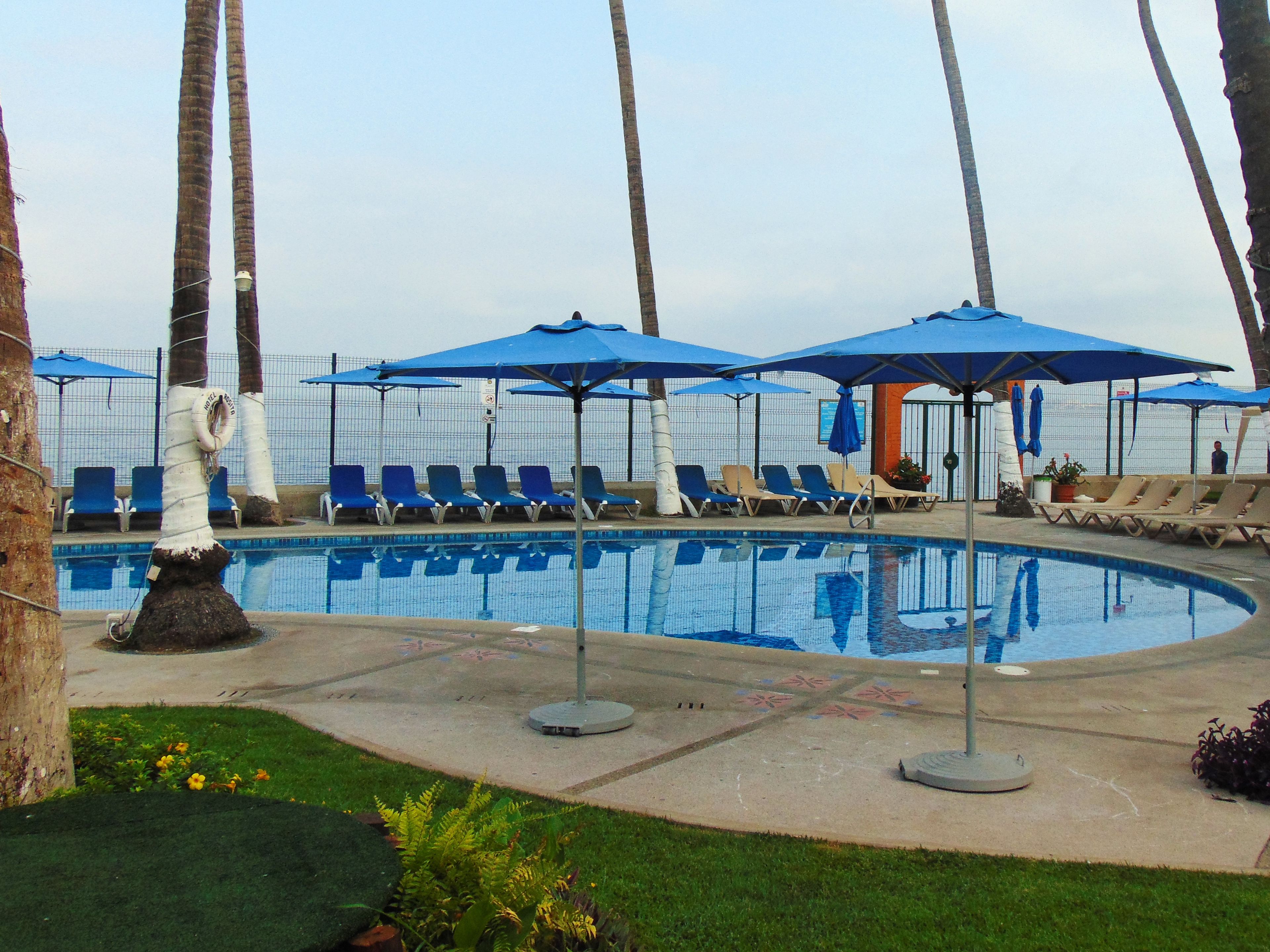 A swimming pool with lounge chairs and umbrellas, surrounded by palm trees.