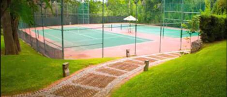 Una cancha de tenis con una valla alrededor, un camino de acceso y árboles al fondo.