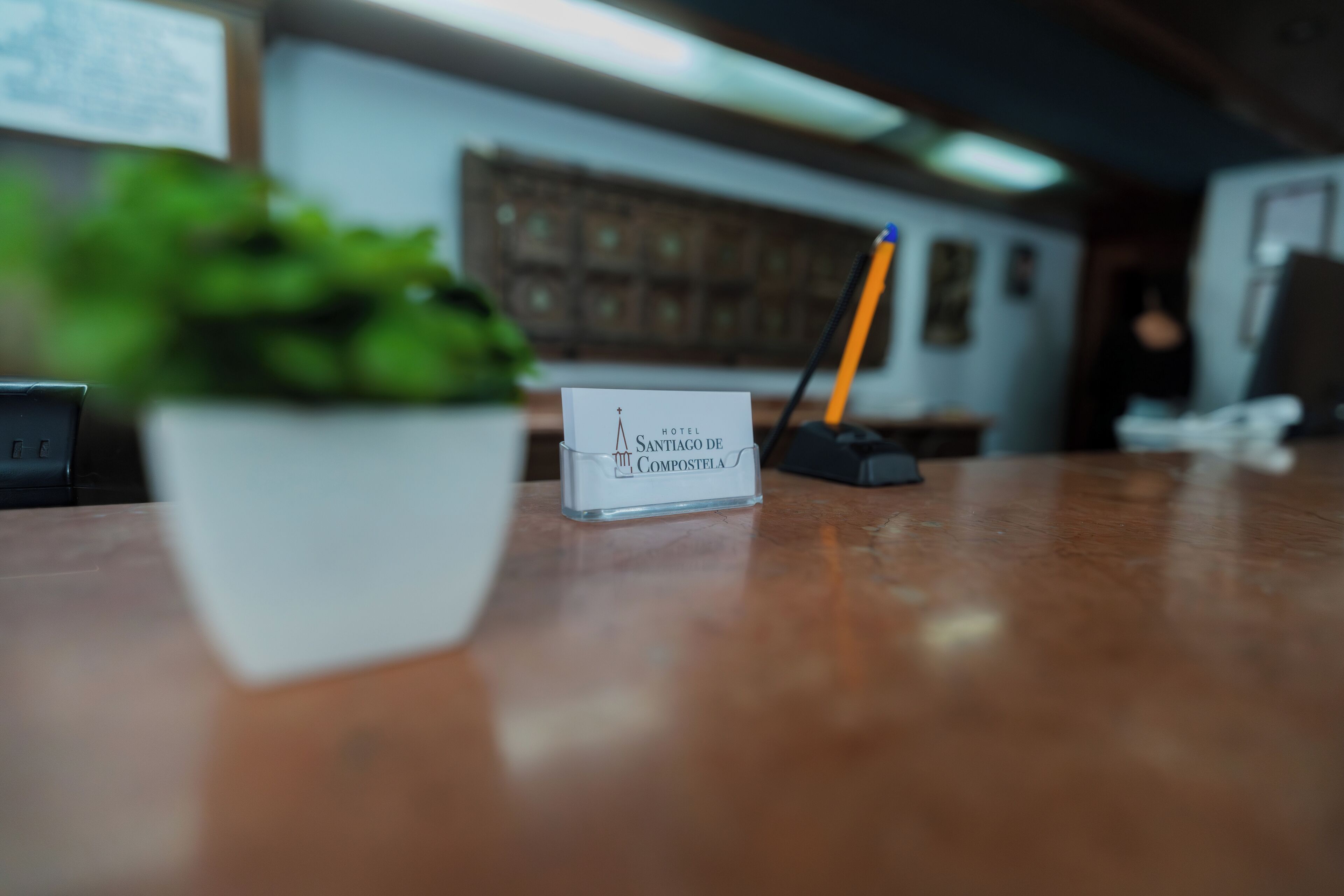 A hotel reception desk with a name card, a potted plant, and a pencil holder.