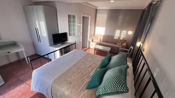 Un dormitorio con cama, escritorio, televisor, sofá y armario.
