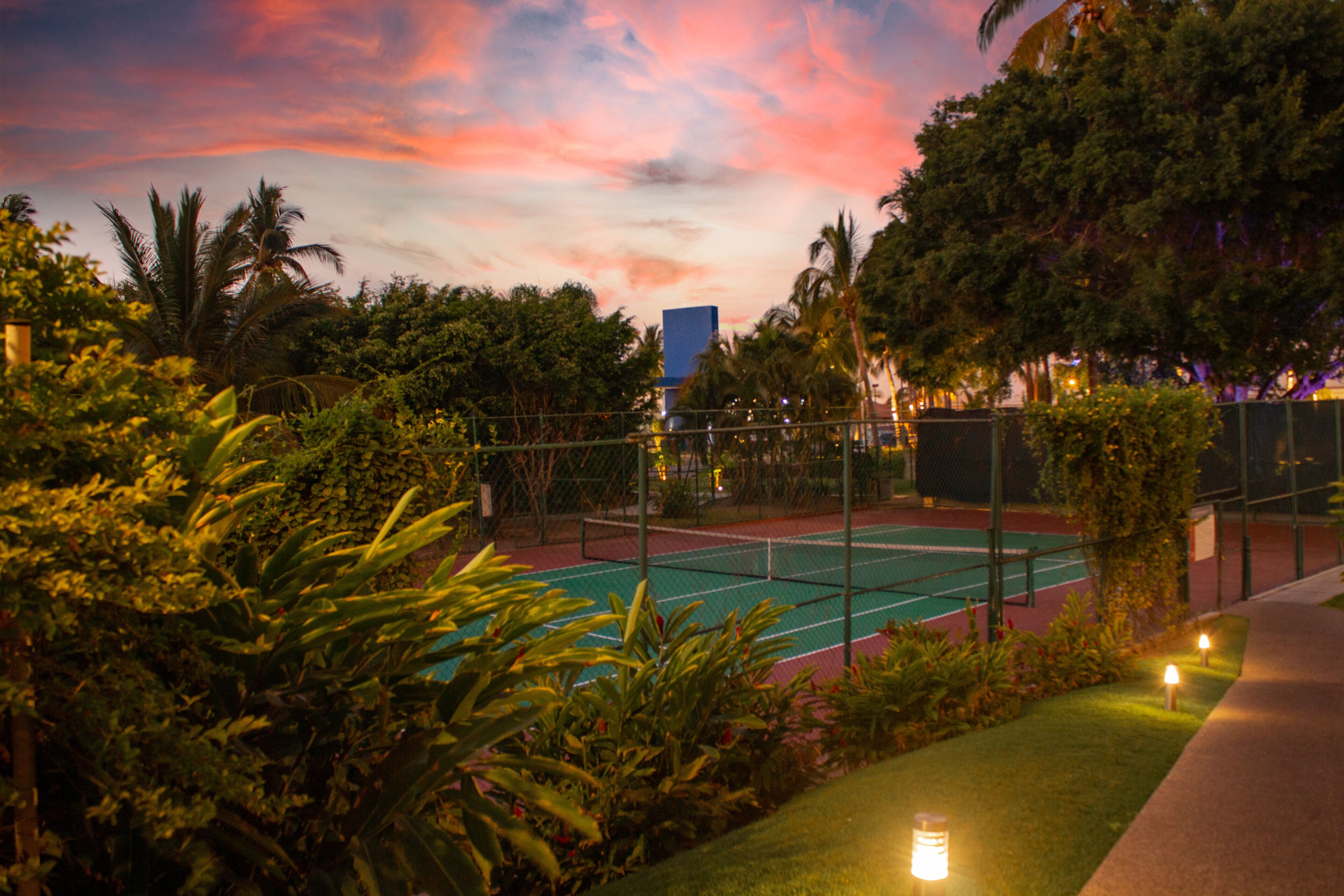 A tennis court surrounded by lush greenery and palm trees, with a building in the background.