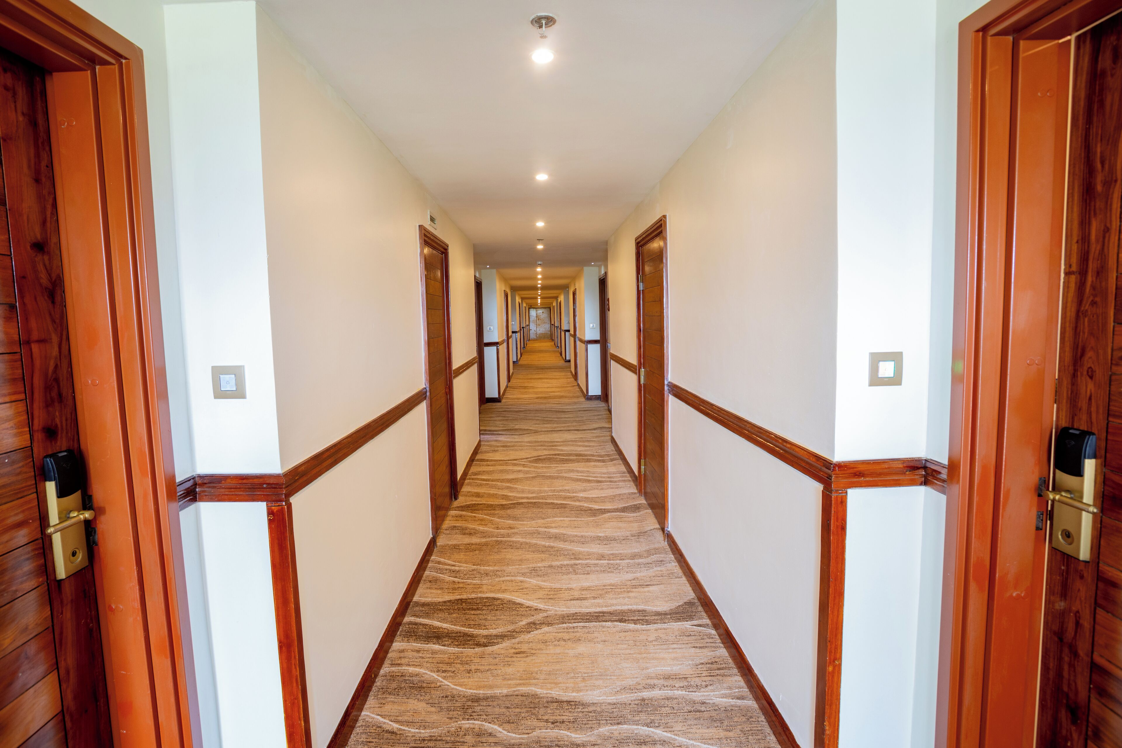 A hotel hallway with wooden doors, a patterned carpet, and a ceiling light.