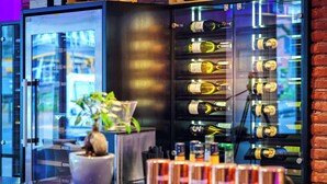 A wine rack with bottles, a potted plant, and a bar area with glasses.