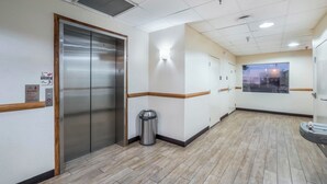 A hallway with an elevator, a trash can, and a door with a window.