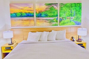 Room, 1 King Bed, Non Smoking | 1 bedroom, desk, blackout drapes, iron/ironing board