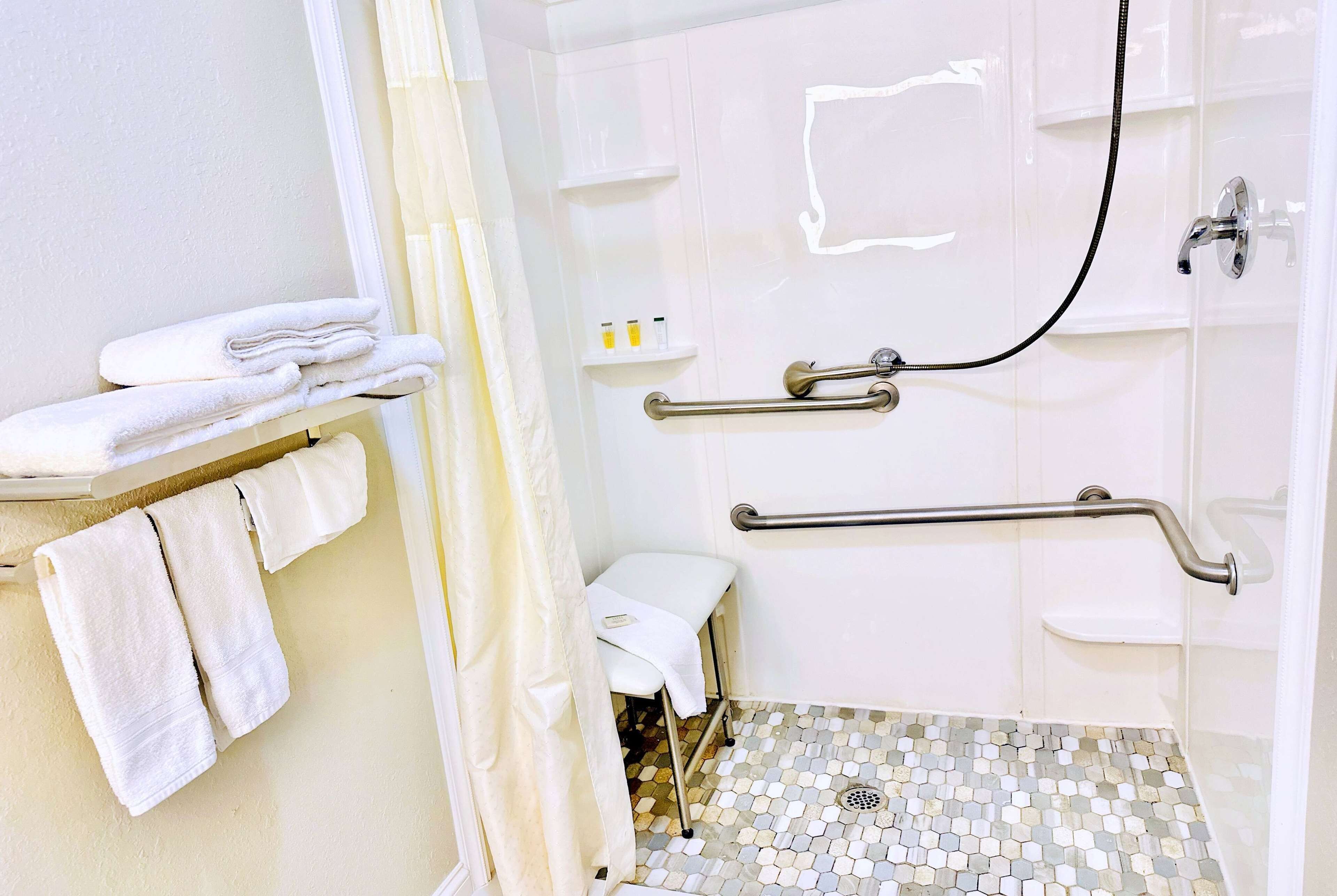 Un bagno dotato di doccia, maniglie di sostegno, WC e porta asciugamani.