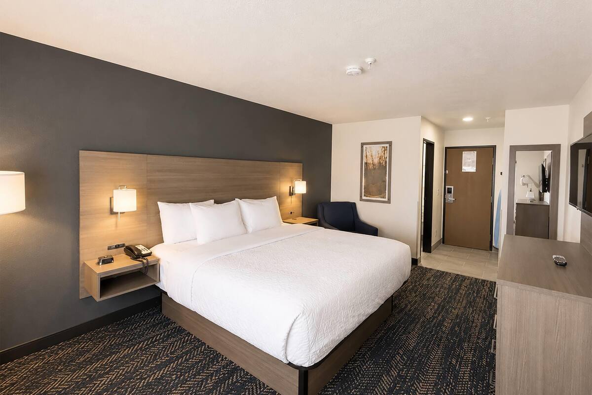 Room, 1 King Bed, Non Smoking | Premium bedding, desk, blackout drapes, iron/ironing board
