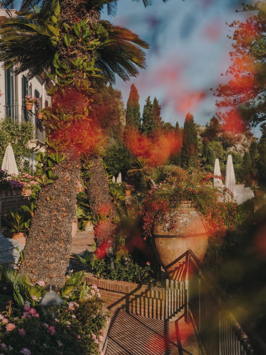 A garden with a variety of plants, a pathway, and a building in the background.