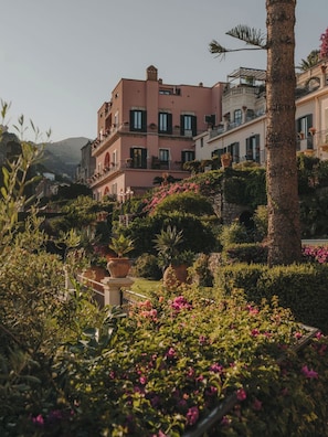 Una zona residencial en una ladera con casas escalonadas, jardines exuberantes y una palmera.