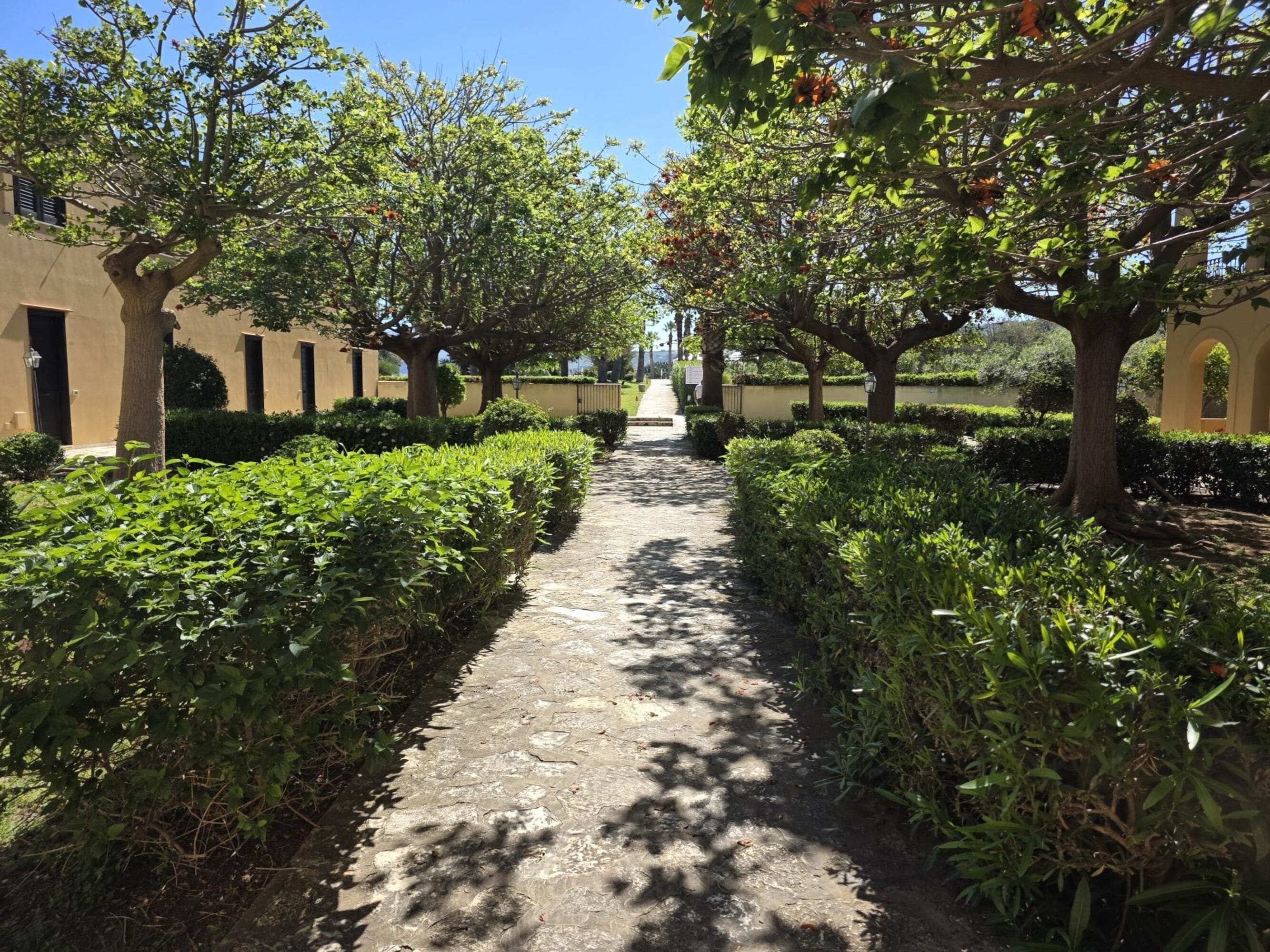 Giardino