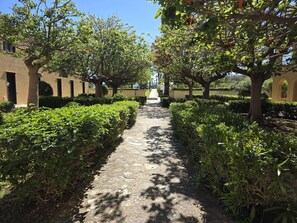 A pathway flanked by neatly trimmed hedges and trees, leading towards a building with a beige facade and arched windows.