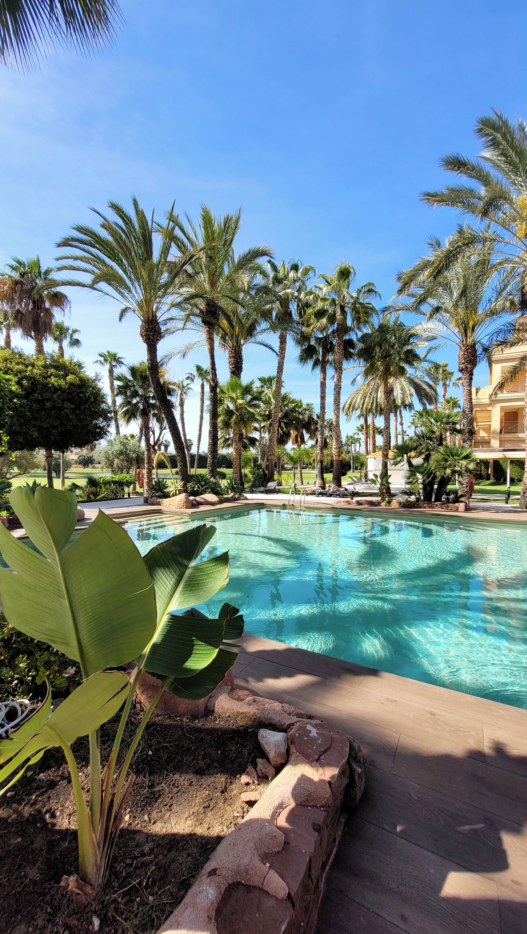 Foto - Hotel Alicante Golf