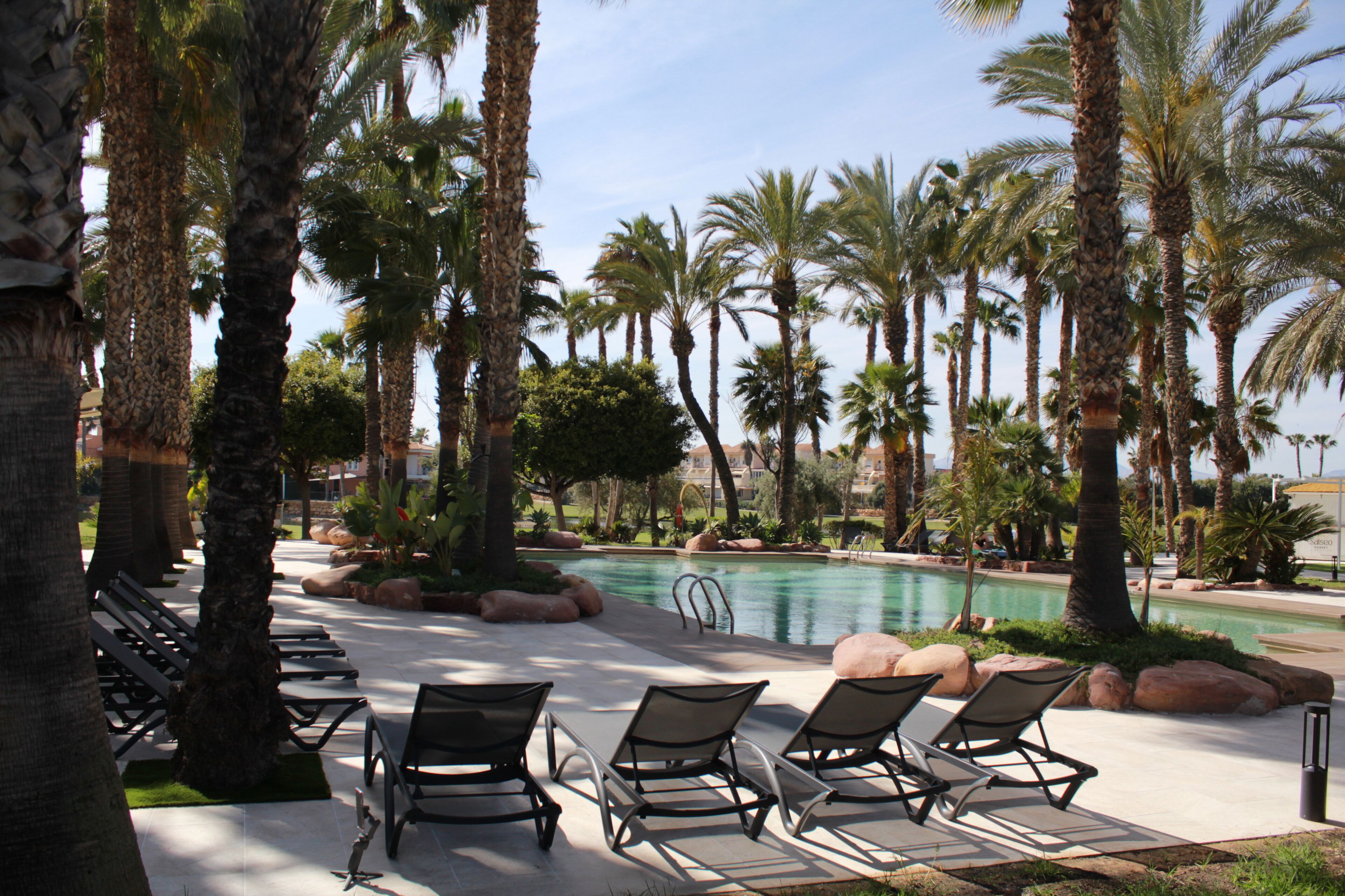 Zona junto a la piscina con sillones de descanso, palmeras y una vista despejada del agua.