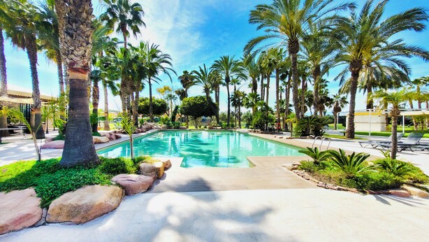 A swimming pool surrounded by palm trees and rocks, with a clear blue sky above. - Hotel Alicante Golf (Alicante)