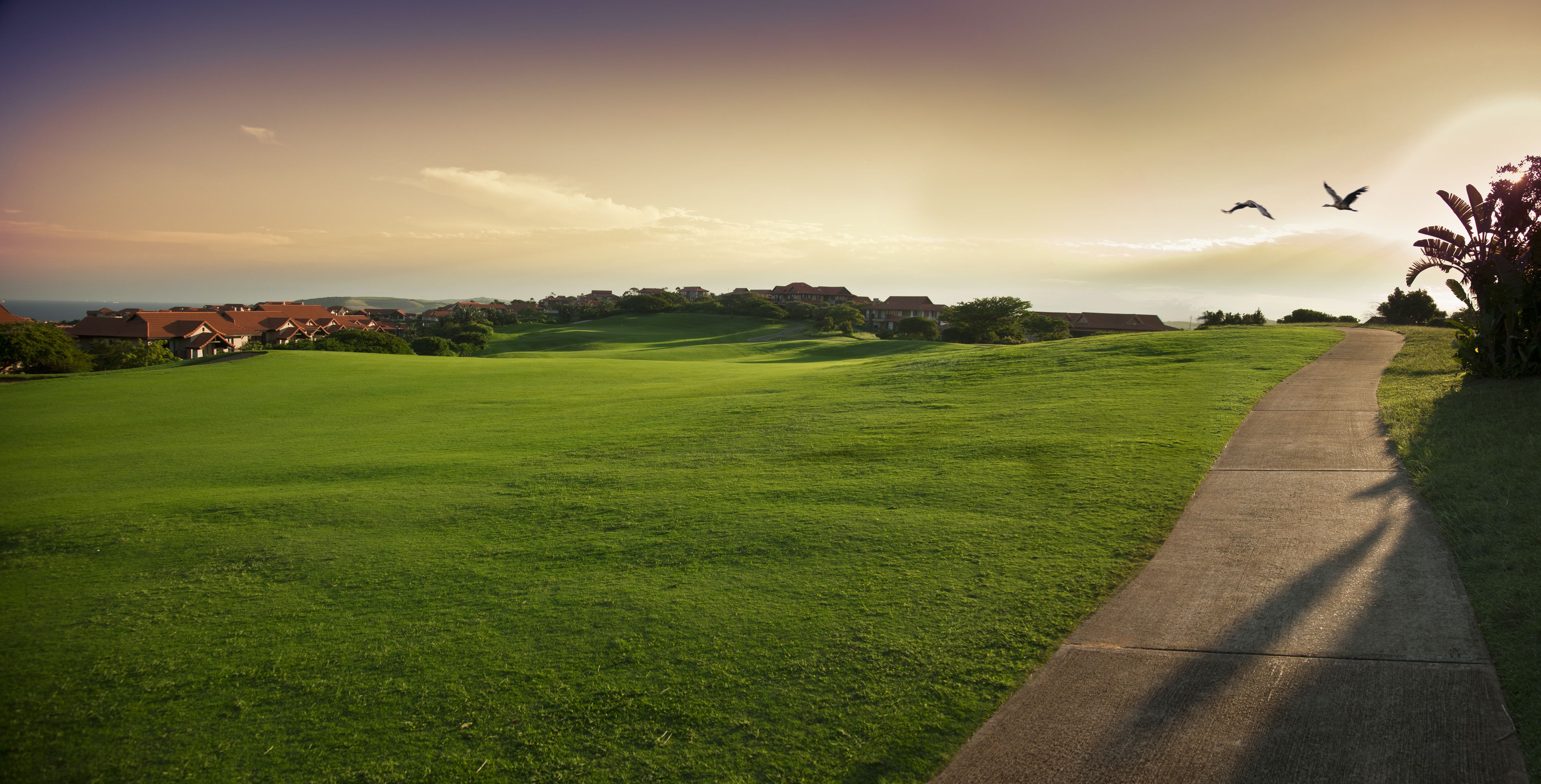 Golf