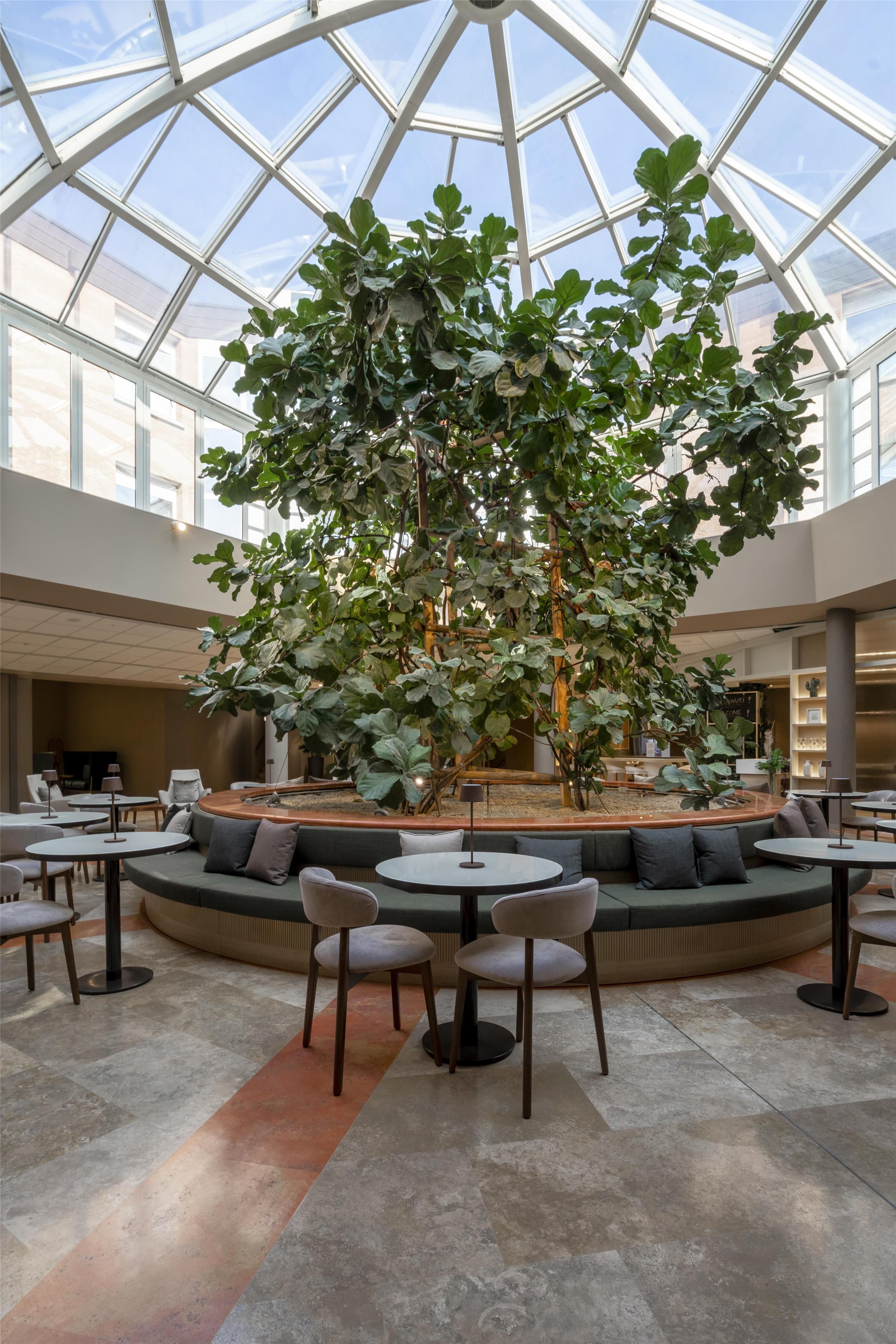 A spacious indoor area with a large central tree, seating arrangements, and a glass ceiling.