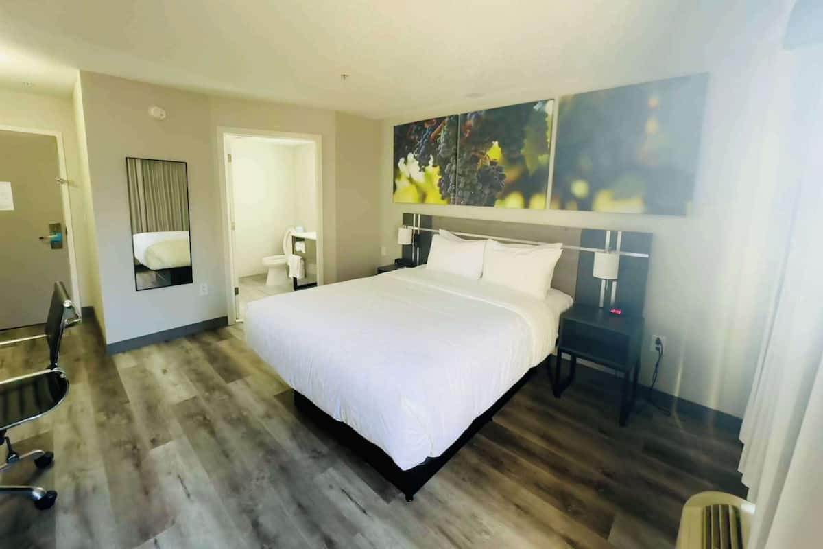 A hotel room with a large bed, a desk, a chair, and a mirror.