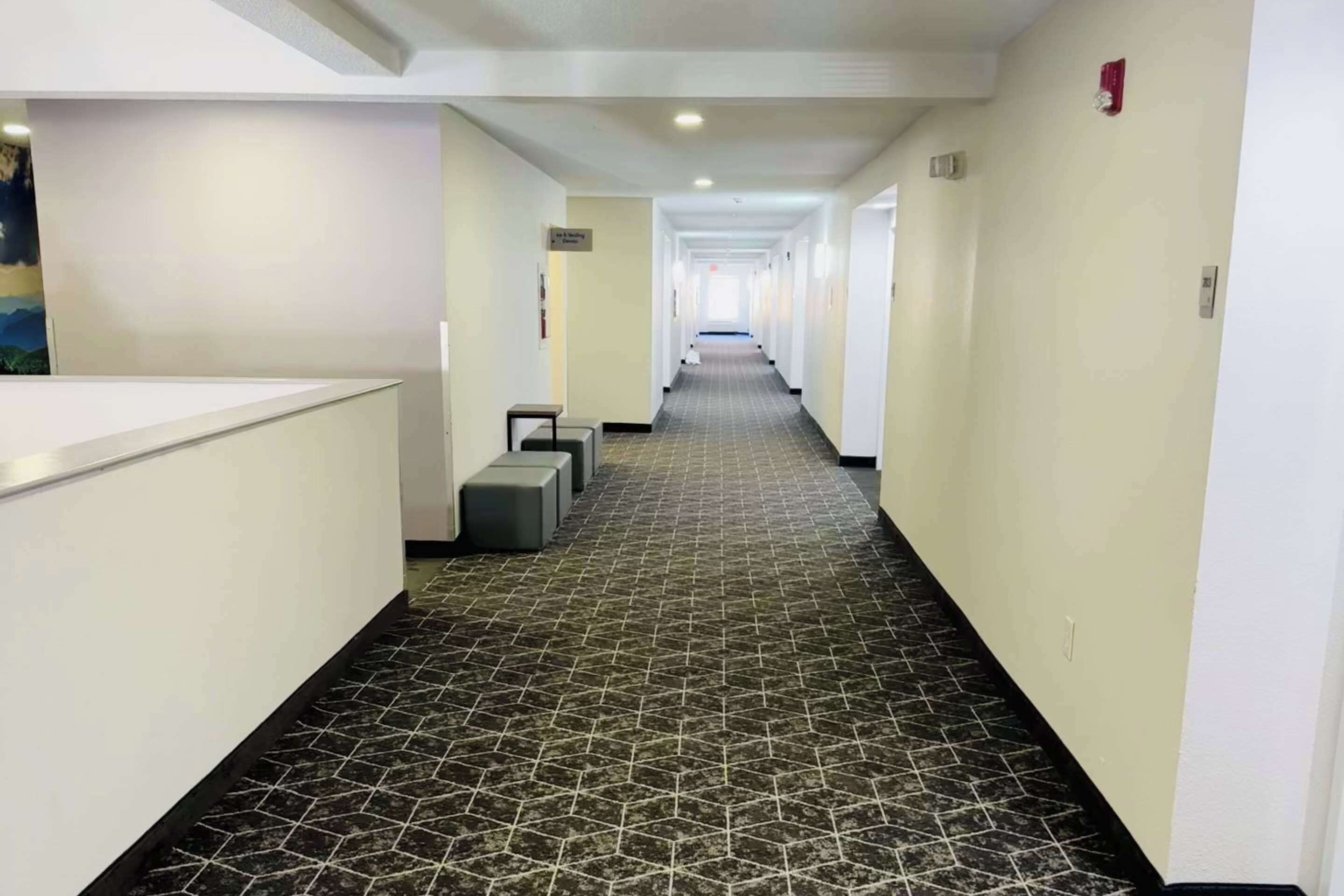 A hotel hallway with a geometric patterned carpet, white walls, and a reception desk on the left.
