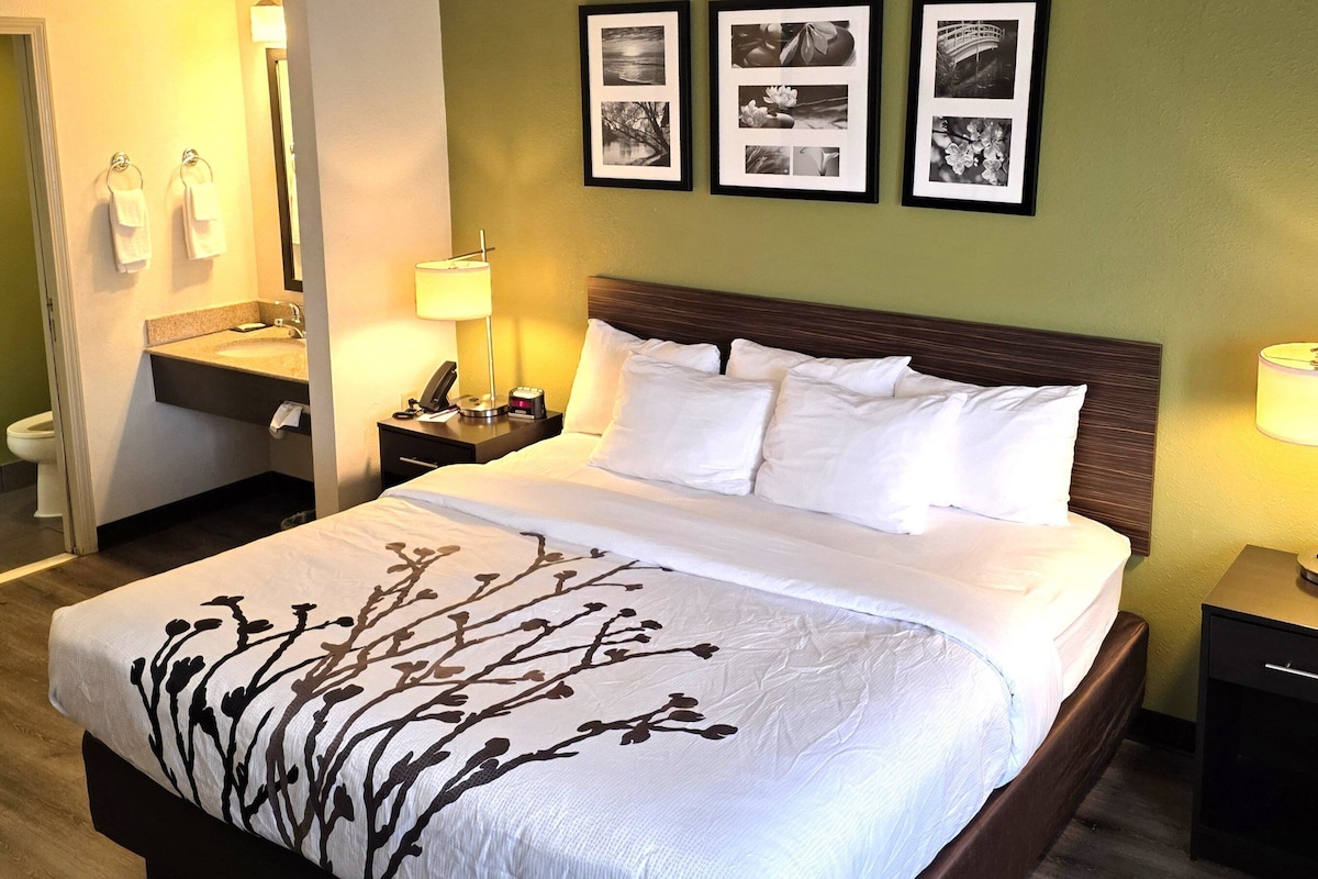 A hotel room with a bed, bedside tables, a nightstand, a lamp, a bathroom with a sink and towel rack, and framed pictures on the wall.