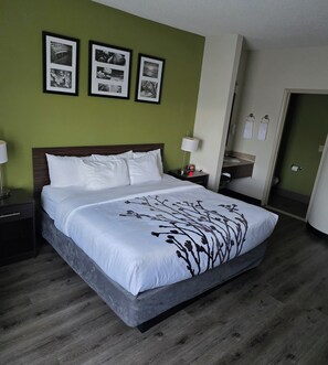 Standard Single Room, 1 King Bed