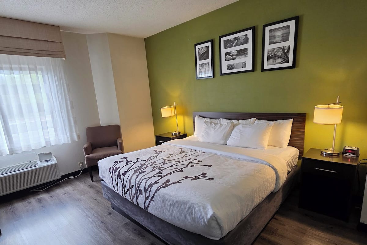 Standard Single Room, 1 King Bed | Premium bedding, desk, iron/ironing board, free WiFi