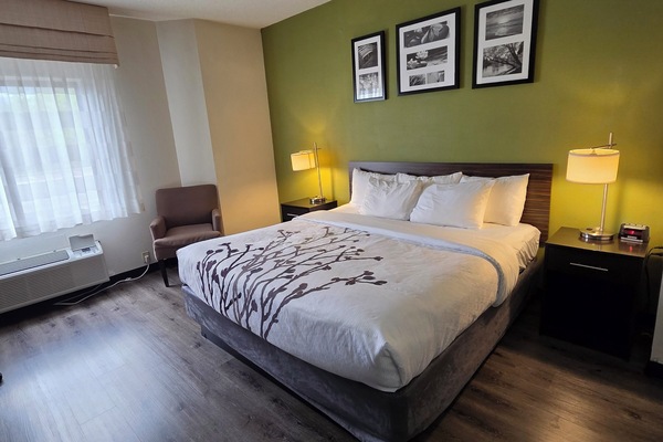 Standard Single Room, 1 King Bed | Premium bedding, desk, iron/ironing board, free WiFi