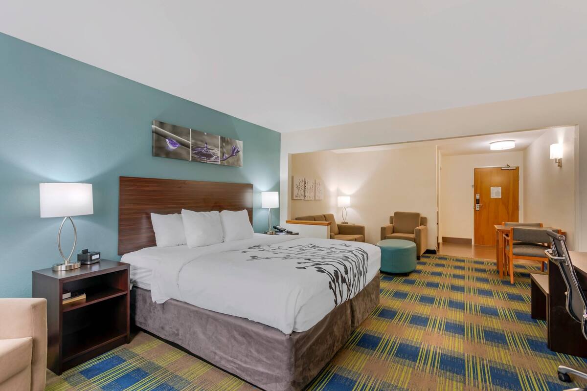A hotel room with a large bed, a desk, a chair, a small table, and a sofa.