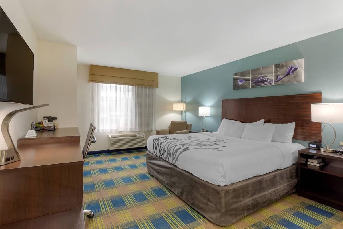 A hotel room with a bed, a desk, a chair, a lamp, and a wall-mounted artwork.