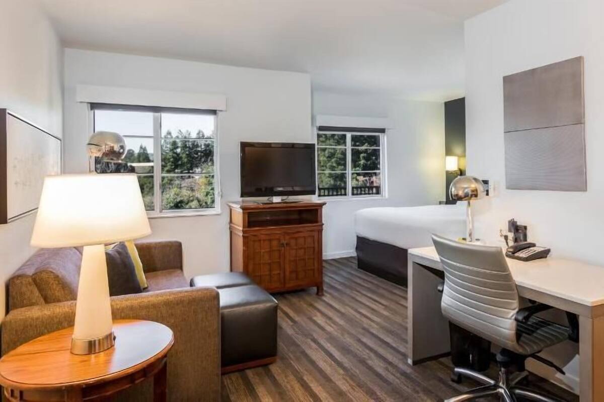 A hotel room with a bed, desk, chair, TV, and a view of trees through the window.