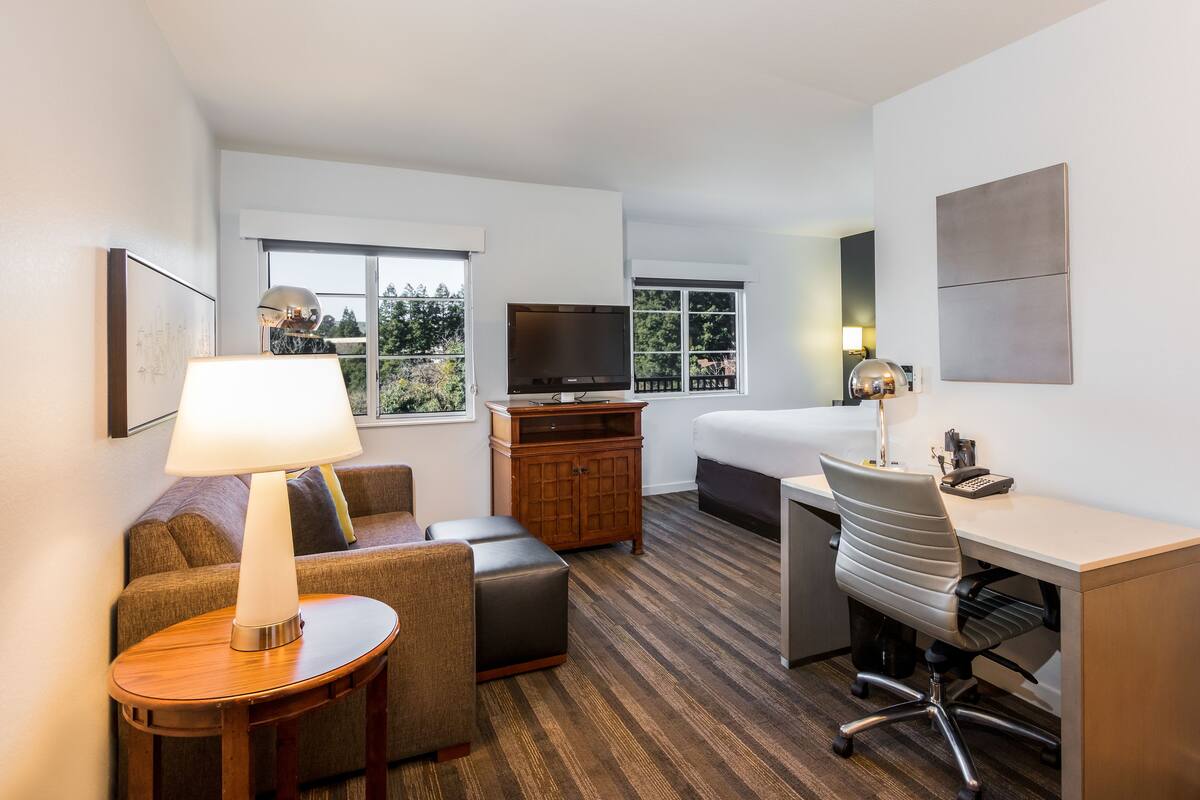 Studio | Egyptian cotton sheets, hypo-allergenic bedding available, in-room safe