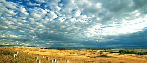 A cemetery with headstones and a fence, under a partly cloudy sky.